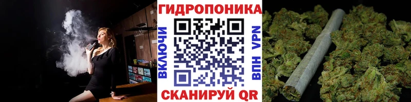 где можно купить наркотик Темрюк Каннабис индика